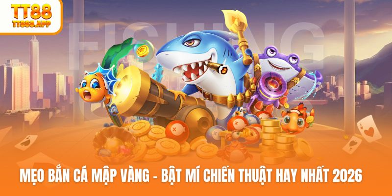meo-ban-ca-map-vang-anh-dai-dien